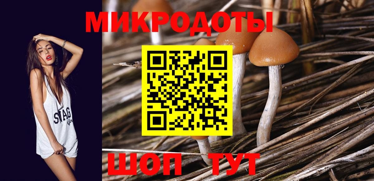 Псилоцибиновые грибы прущие грибы Самара